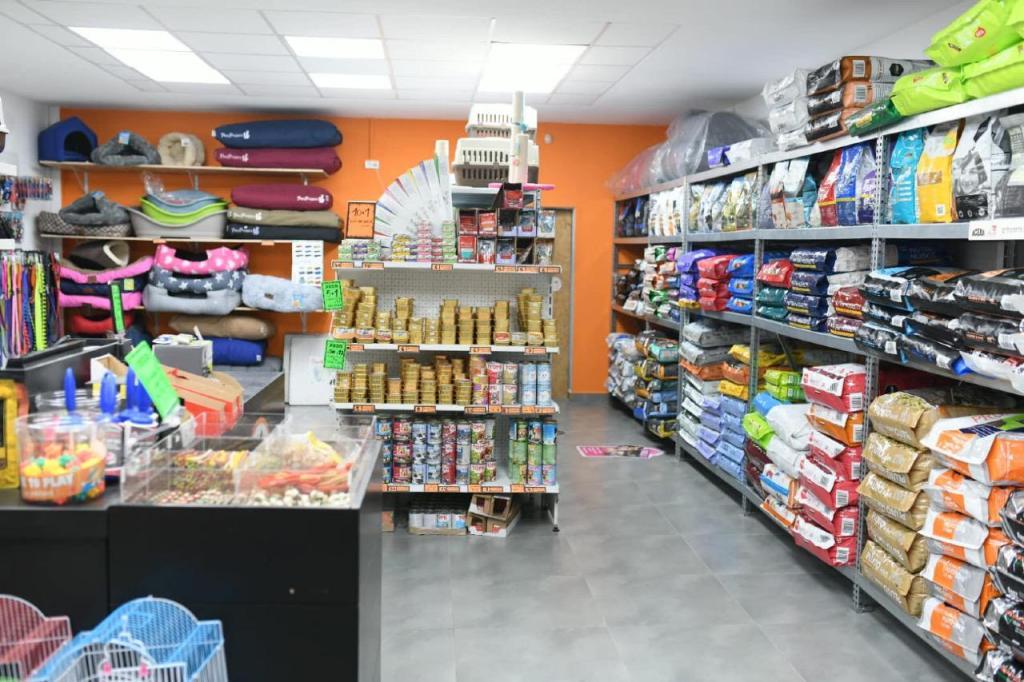 דוגאטו דוגאטו