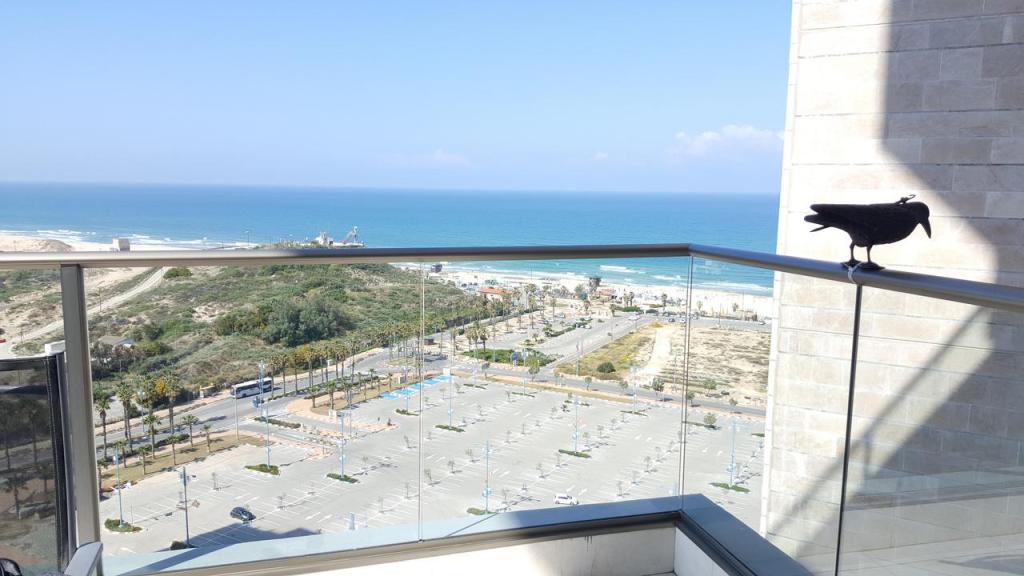 מלך החלונות מלך החלונות