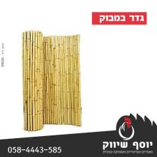 יוסף שיווק