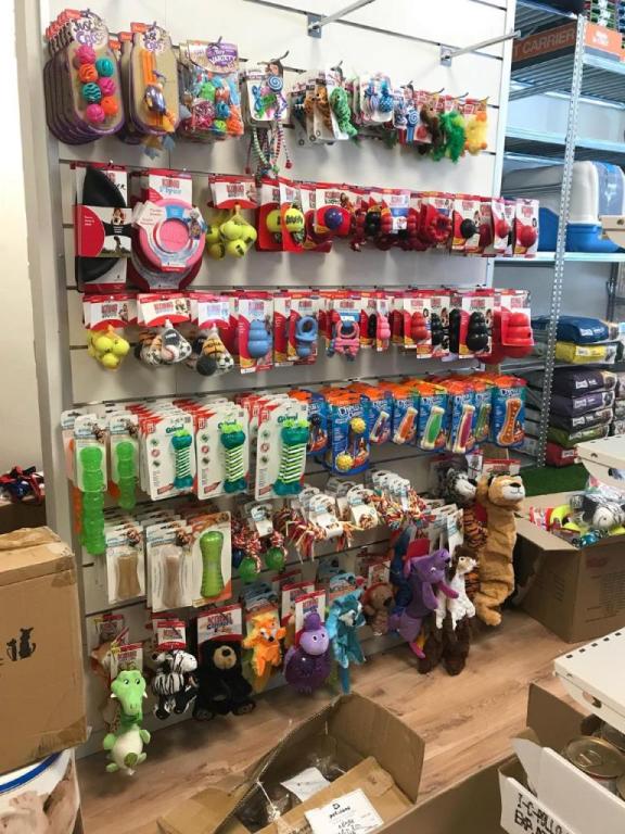 אנימלוס אנימלוס