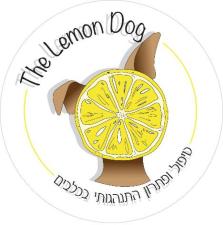 The lemon dog