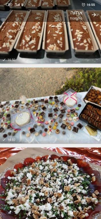 מאמאלה מאמאלה