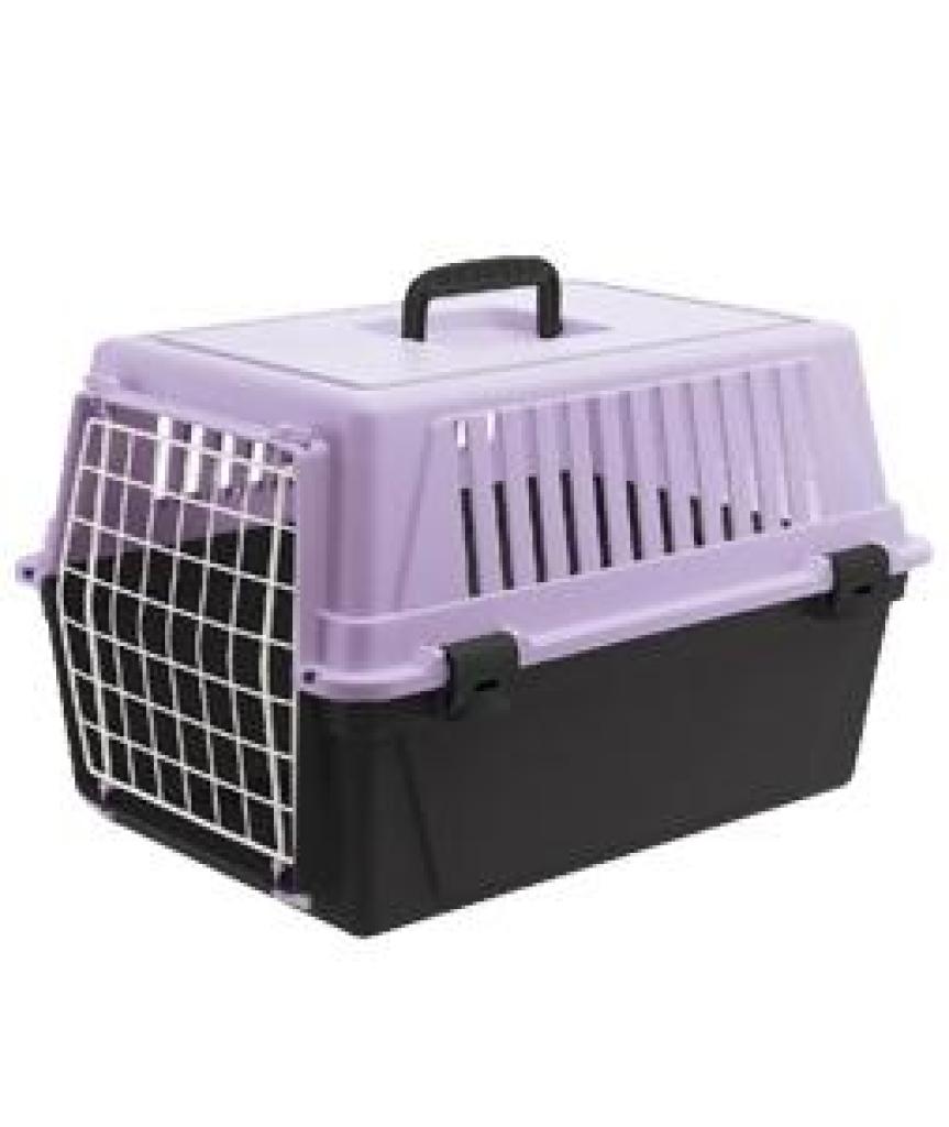 תן לחיות חיפה תן לחיות חיפה