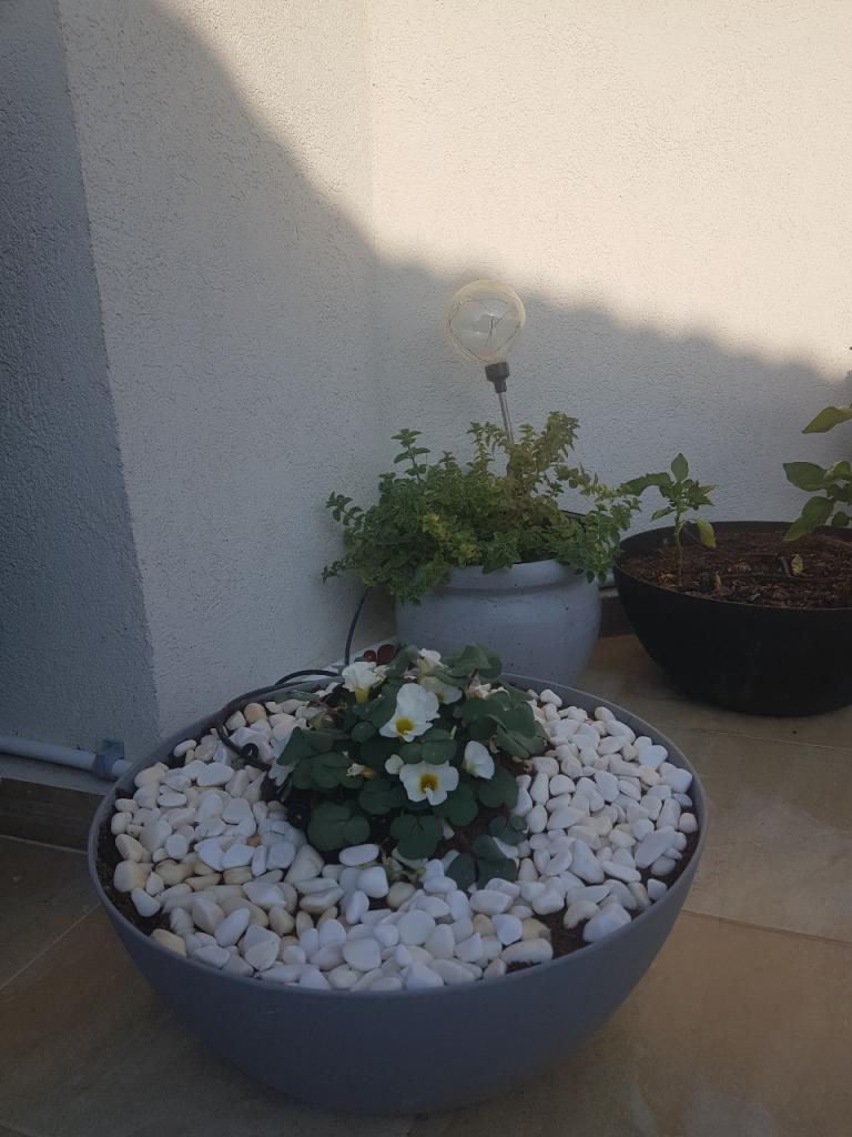 קסם ש.י קסם ש.י