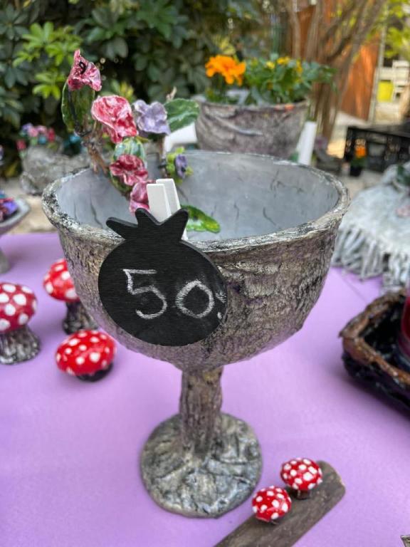 תמר ברקן תמר ברקן