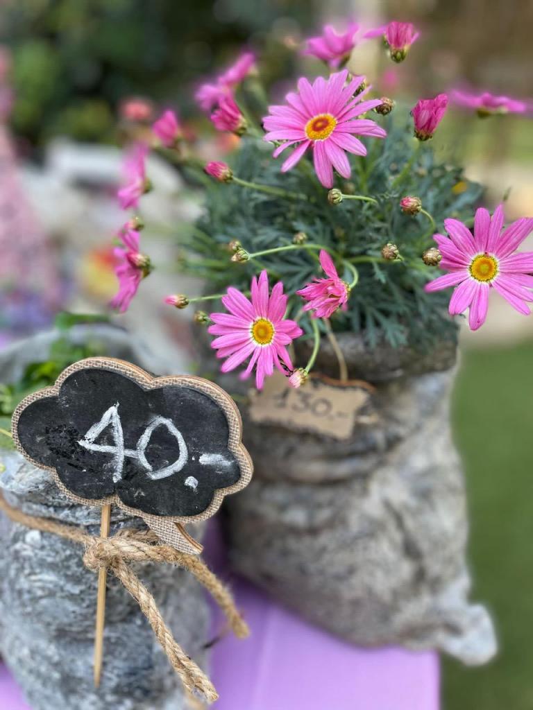 תמר ברקן תמר ברקן