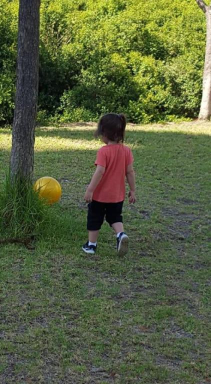 גני גולן גבעת הפרחים גני גולן גבעת הפרחים