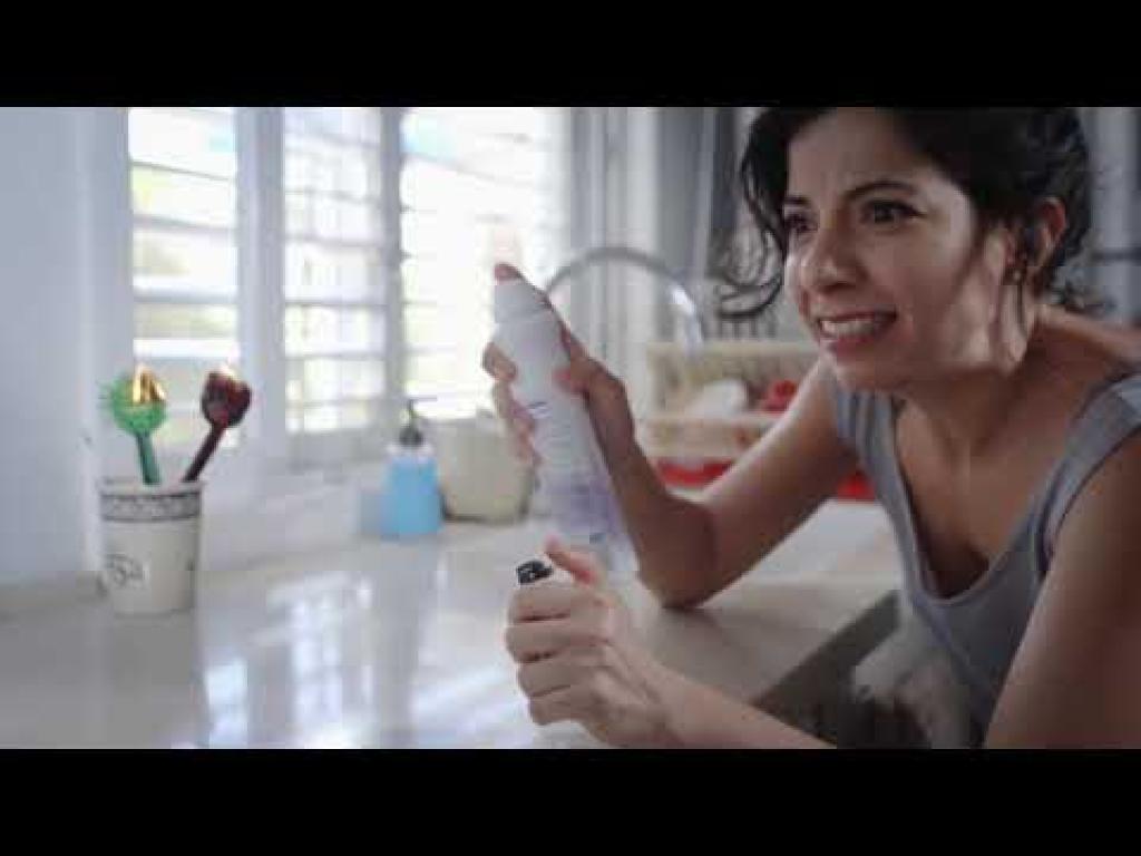 טוטאל הדברה טוטאל הדברה