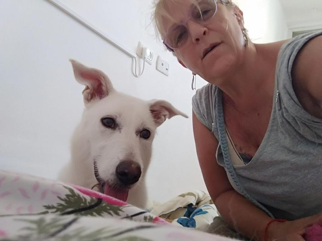 סילביה מאלפת הכלב שלך סילביה מאלפת הכלב שלך