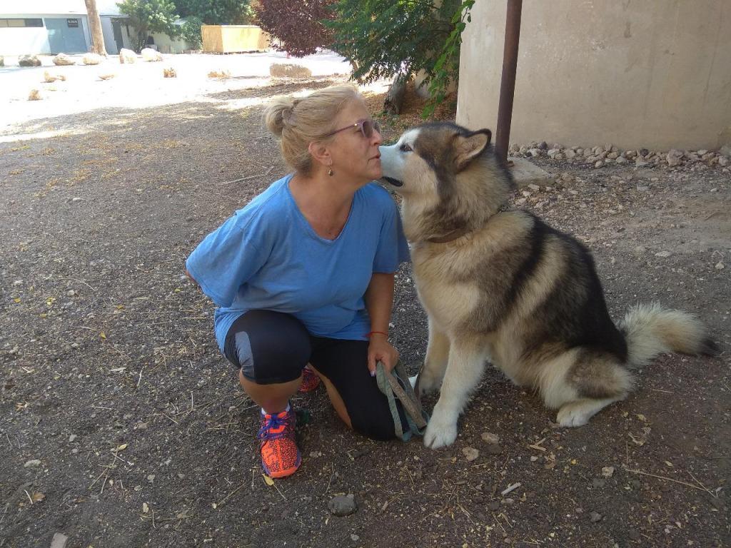 סילביה מאלפת הכלב שלך סילביה מאלפת הכלב שלך