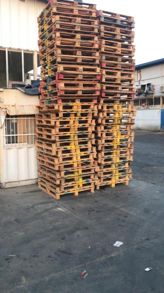 ארז משטחים ארז משטחים