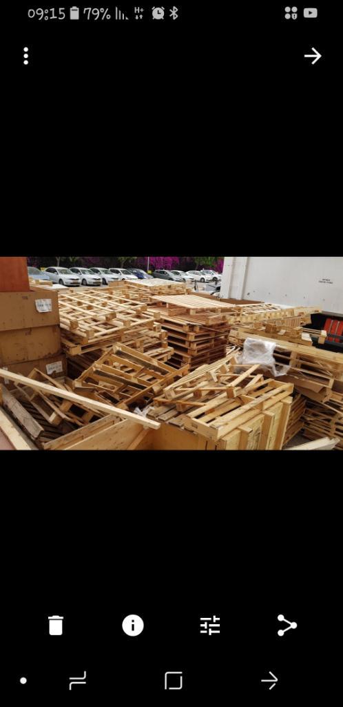 ארז משטחים ארז משטחים