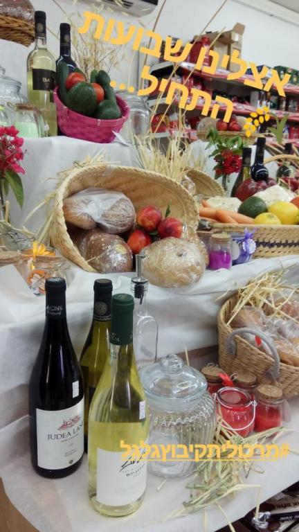 מרכולית קיבוץ גלגל מרכולית קיבוץ גלגל