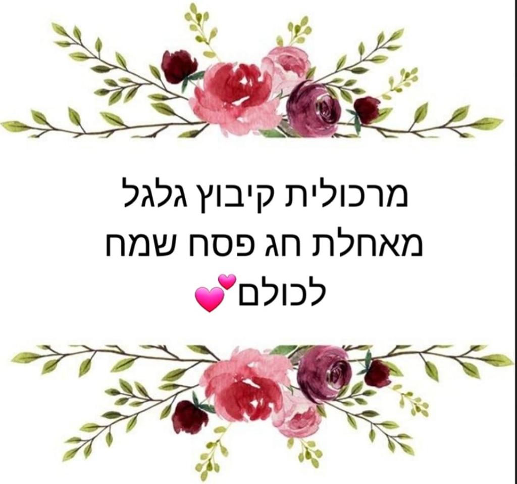 מרכולית קיבוץ גלגל מרכולית קיבוץ גלגל