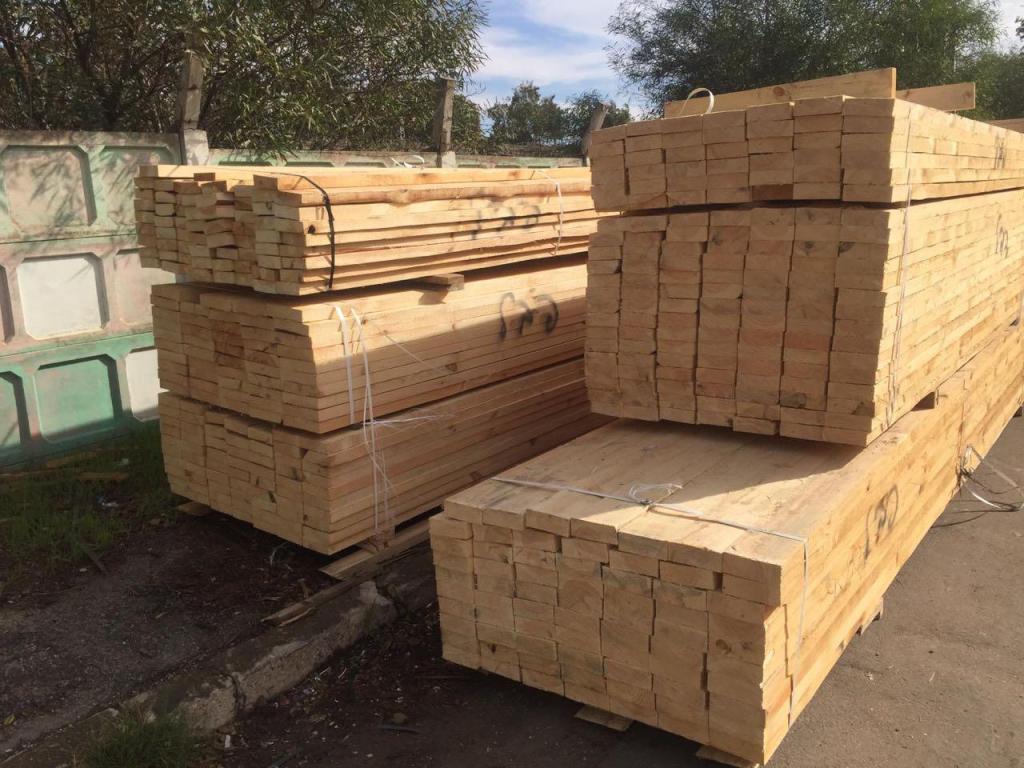 נקודת העץ נקודת העץ