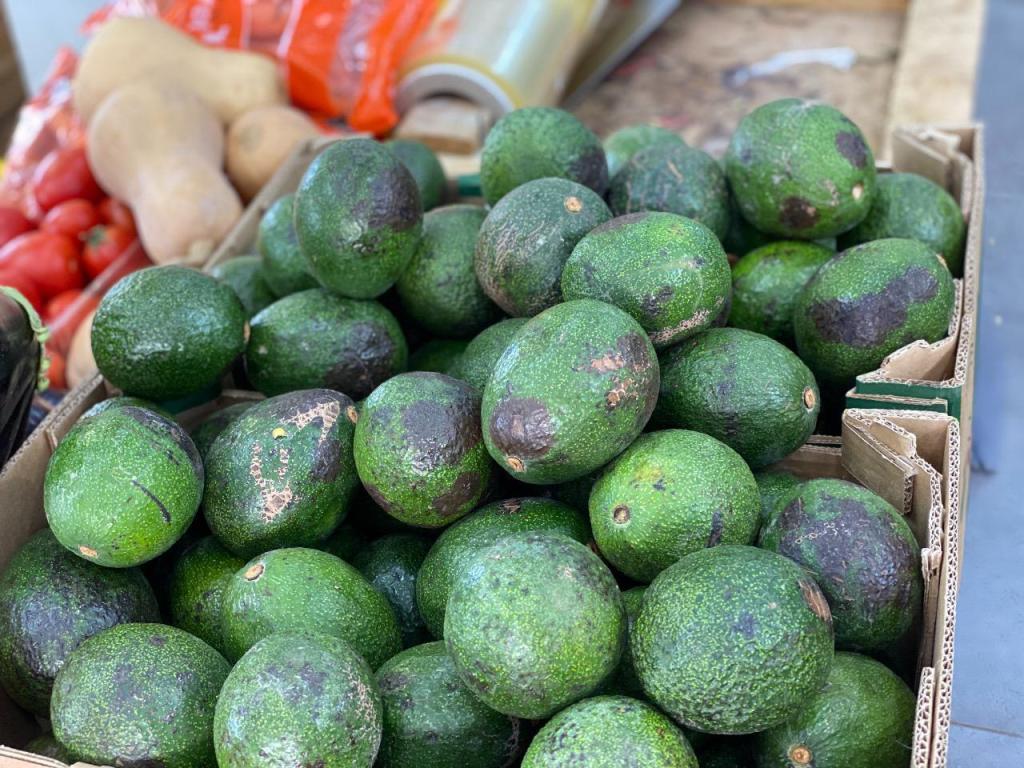 הולדר משק חברתי הולדר משק חברתי