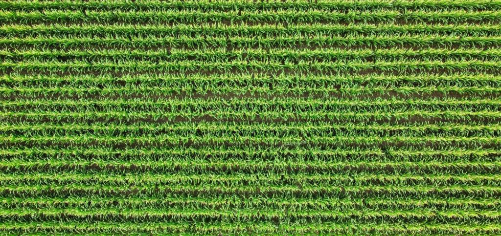 ESSER Photo & Video ESSER Photo & Video