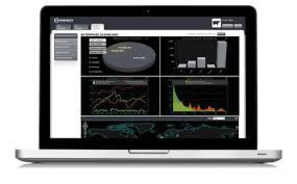 די.אייץ.סקיוריטי די.אייץ.סקיוריטי