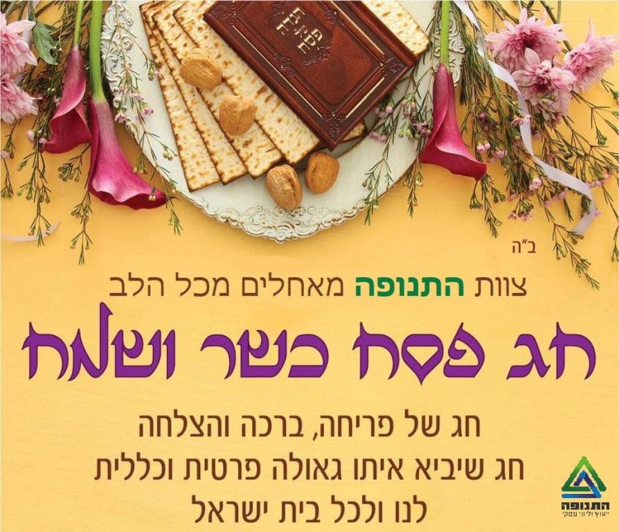 התנופה ייעוץ וליווי עסקי התנופה ייעוץ וליווי עסקי