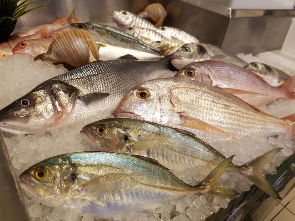 תן דג אמנות הדגים תן דג אמנות הדגים