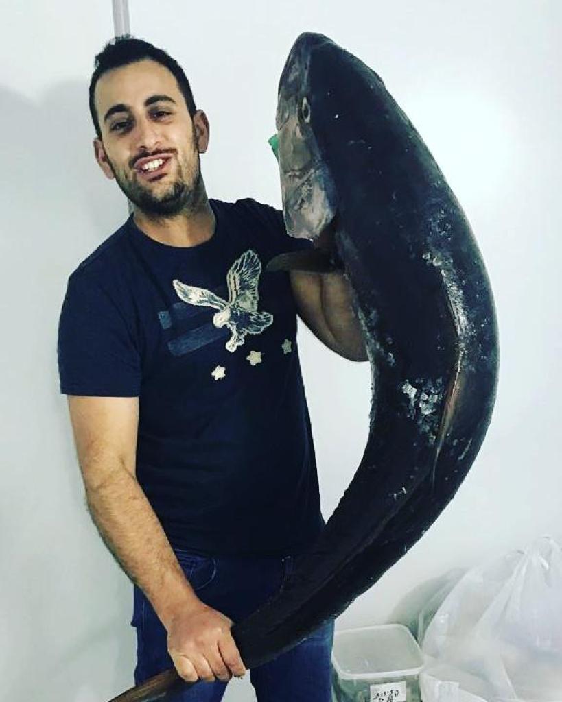 תן דג אמנות הדגים תן דג אמנות הדגים