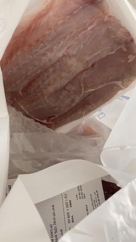 תן דג אמנות הדגים תן דג אמנות הדגים