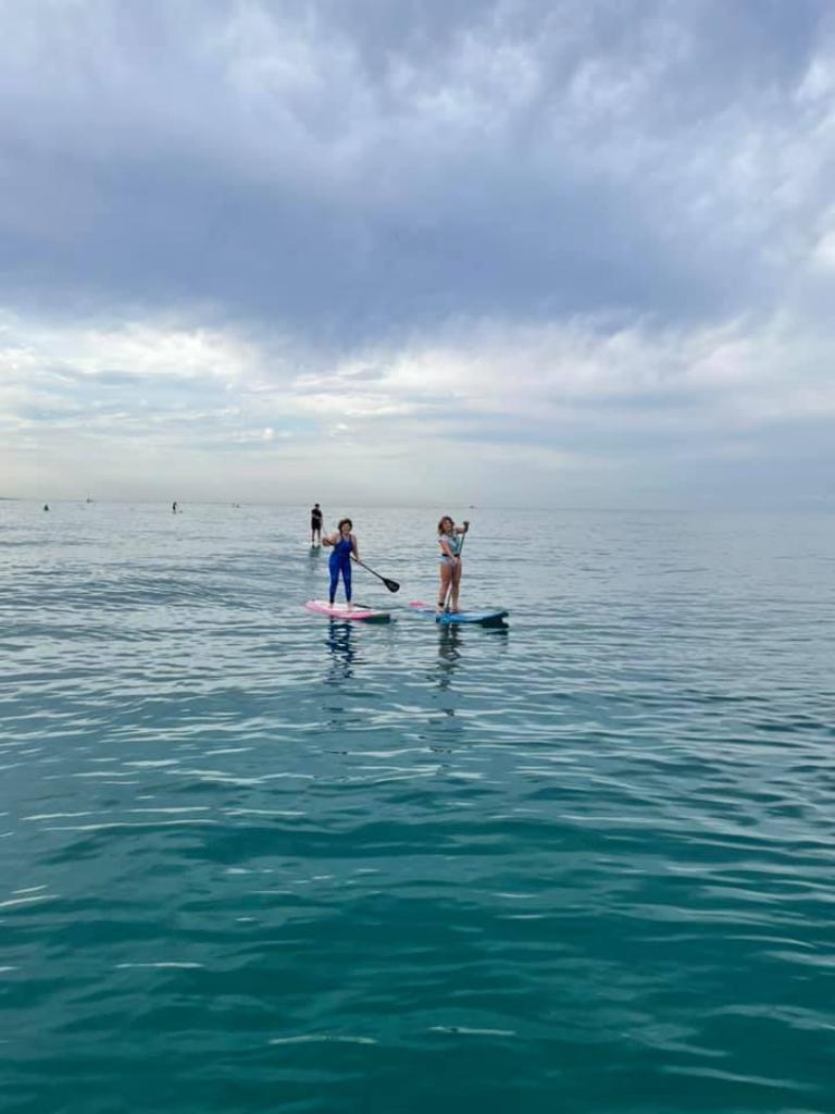 סאפ מרין סאפ מרין