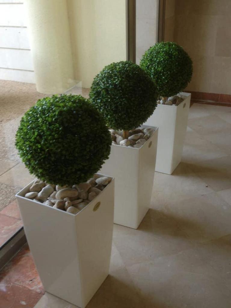 גרין ביוטי גרין ביוטי