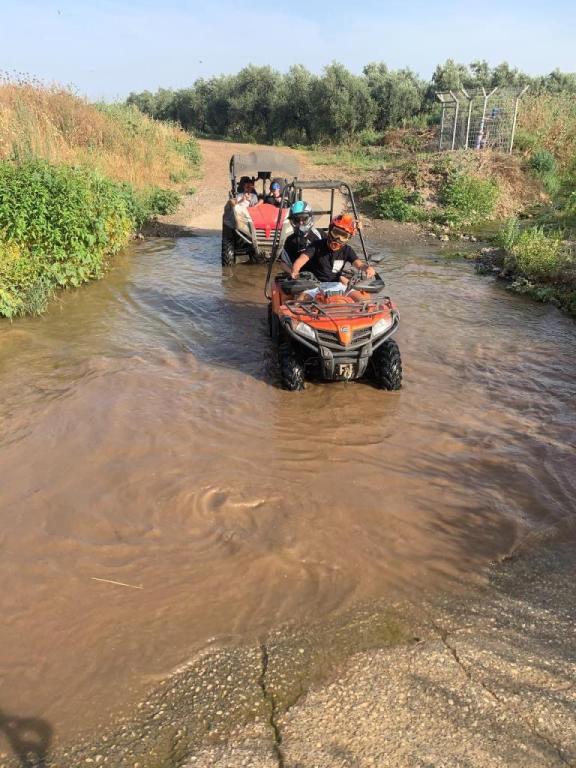 קובי טרקטורונים קובי טרקטורונים