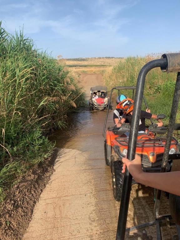 קובי טרקטורונים קובי טרקטורונים