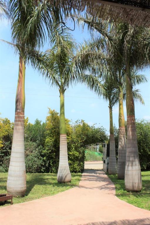 א.ב.נ נדל"ן א.ב.נ נדל"ן