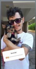 Davidog