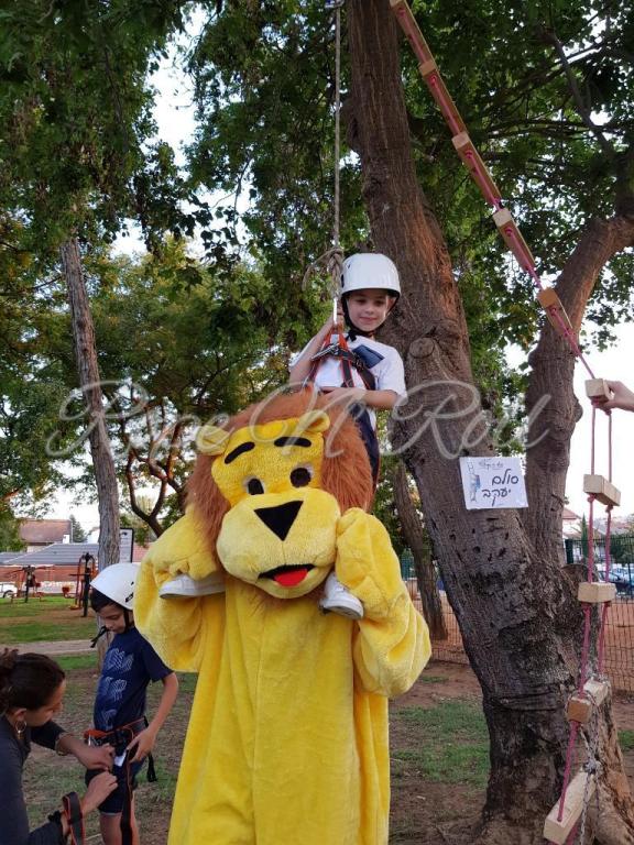 Rope n Roll Rope n Roll