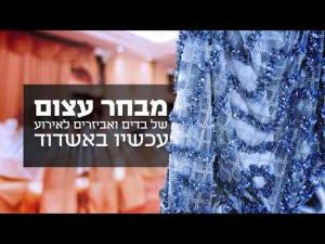 סקוטי