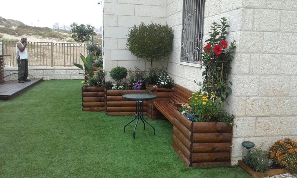 י גינון ונוי י גינון ונוי