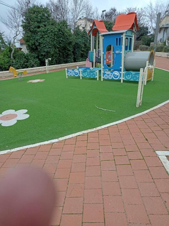 י גינון ונוי י גינון ונוי