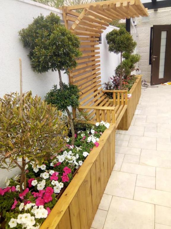 י גינון ונוי י גינון ונוי