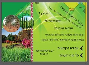 י גינון ונוי