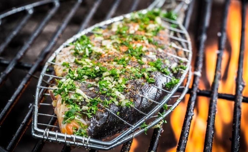 דניס הצפון דניס הצפון