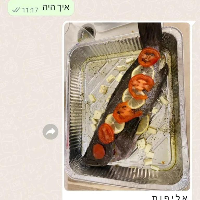 דניס הצפון דניס הצפון