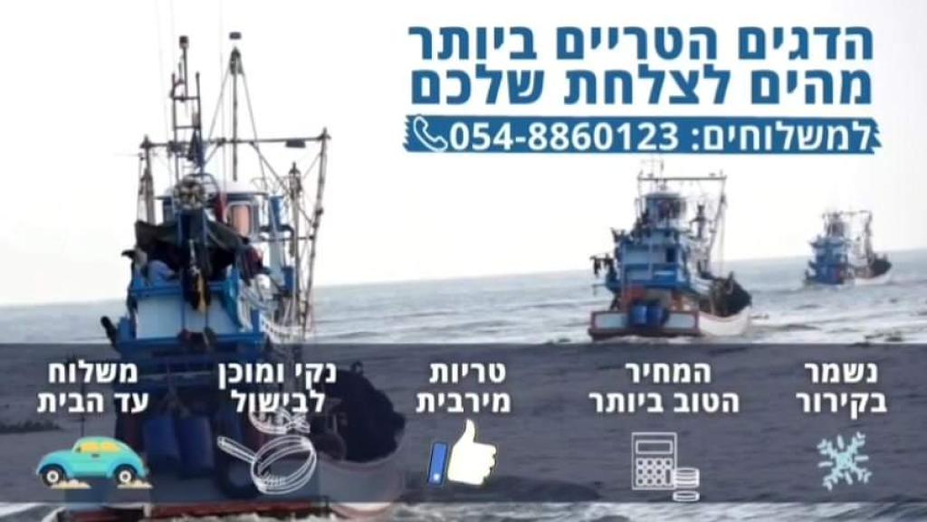 דניס הצפון דניס הצפון