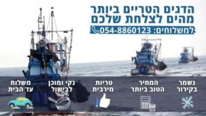 דניס הצפון