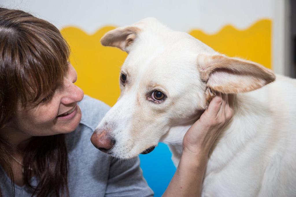 דנה וינטר כישורים חברתים דנה וינטר כישורים חברתים