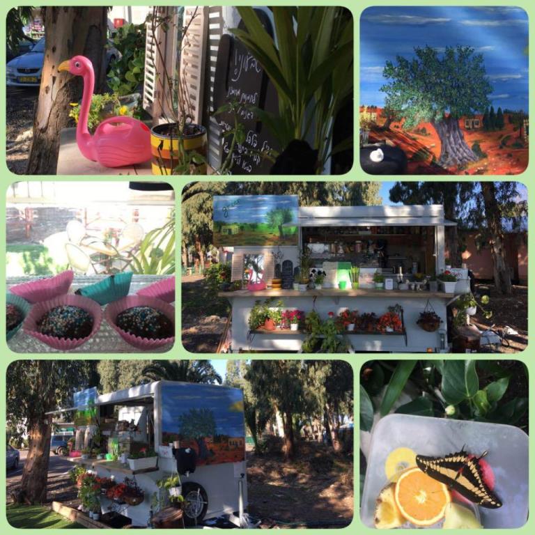 גרין קפה גרין קפה