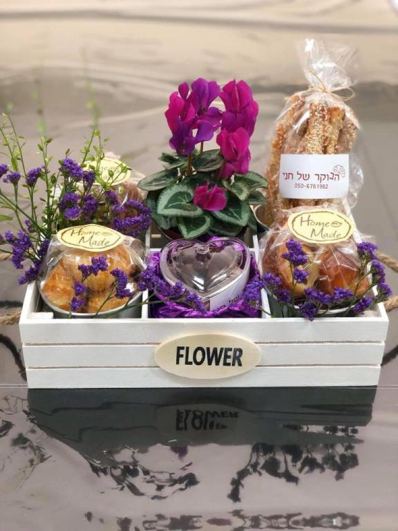 הבוקר של חני הבוקר של חני