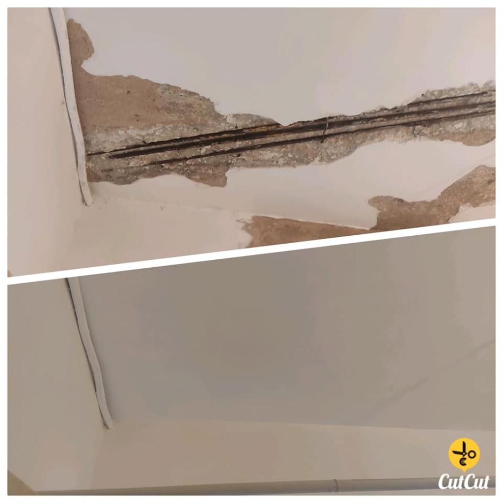 שרון טאלנט שרון טאלנט