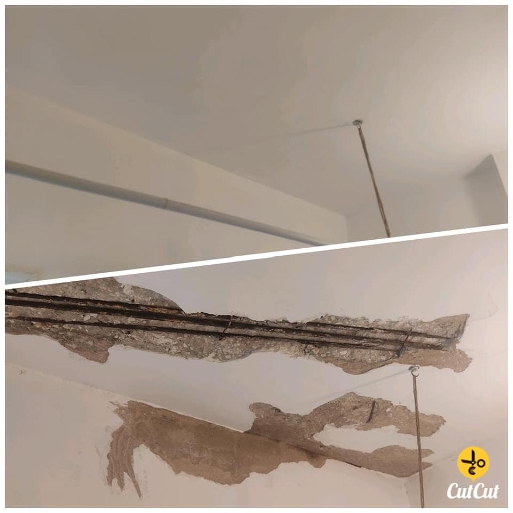 שרון טאלנט שרון טאלנט