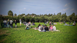 קטיף עצמי בכפר נטר