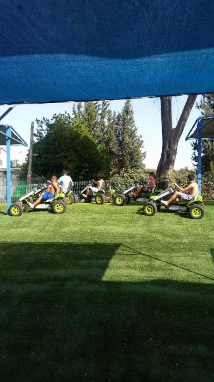 בריכת הכיופית בריכת הכיופית