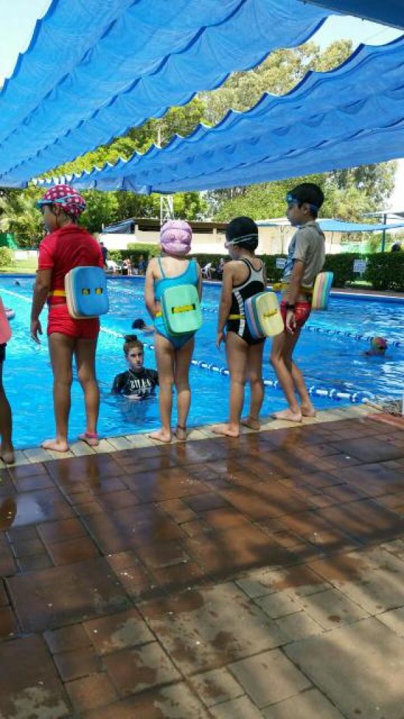 בריכת הכיופית בריכת הכיופית